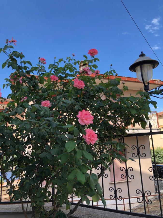 Hotel Zodiaco Bolsena Dış mekan fotoğraf